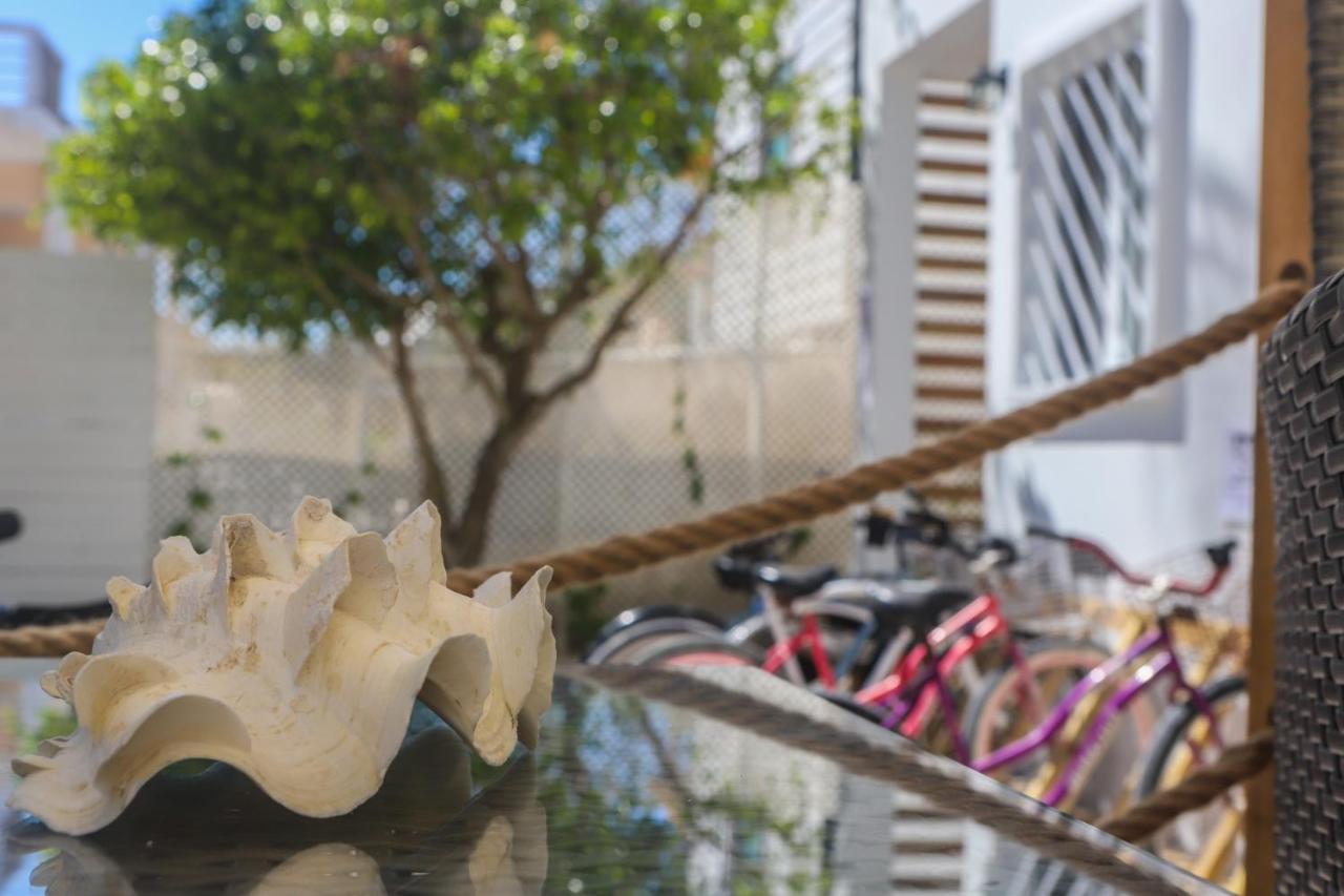 Treetops Hotel Caye Caulker Dış mekan fotoğraf