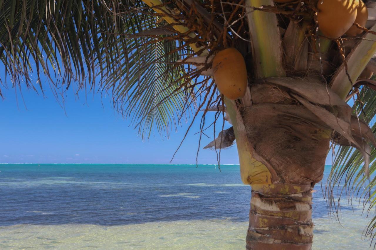 Treetops Hotel Caye Caulker Dış mekan fotoğraf