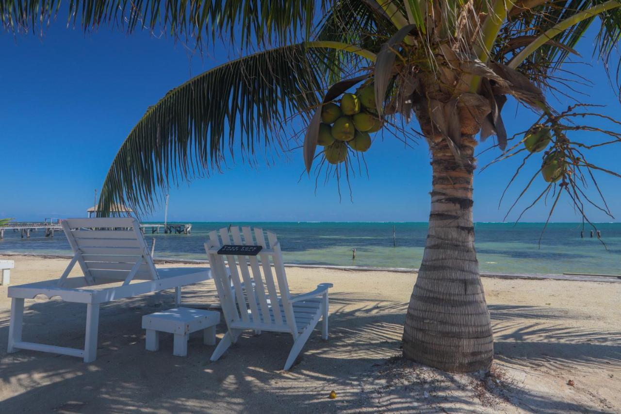 Treetops Hotel Caye Caulker Dış mekan fotoğraf