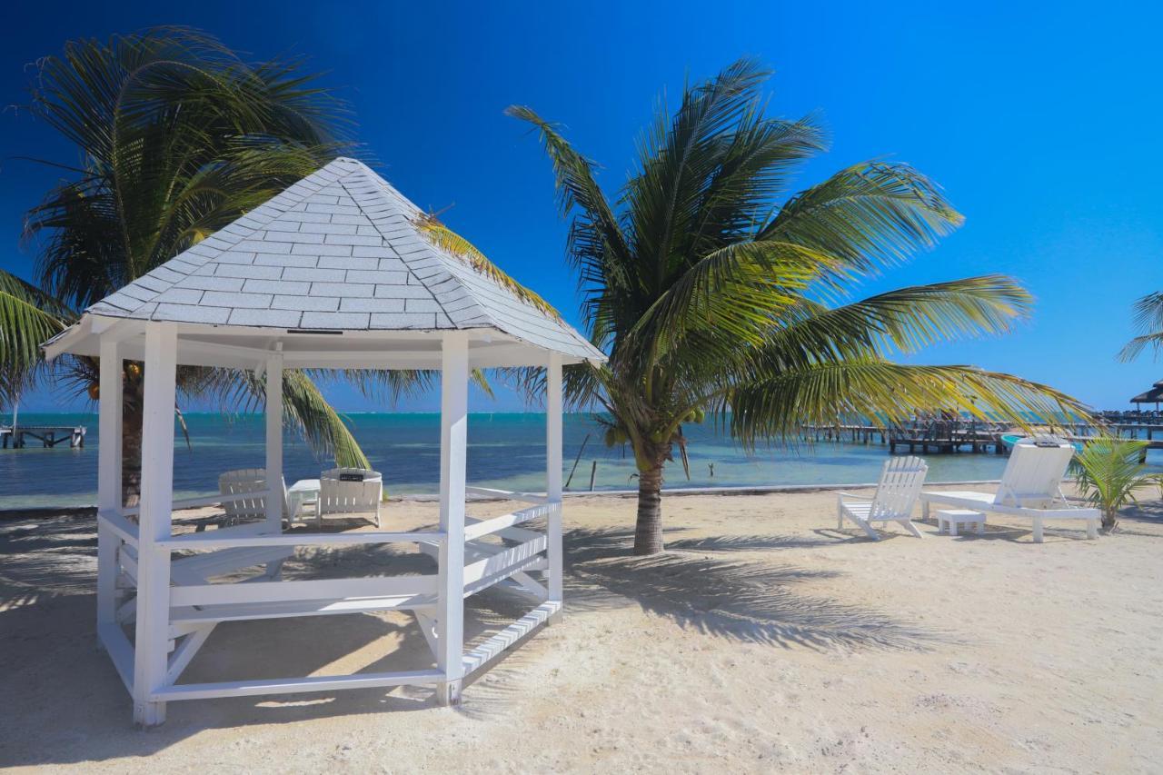 Treetops Hotel Caye Caulker Dış mekan fotoğraf